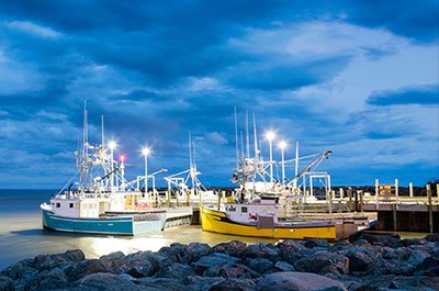 Fishing Lighting