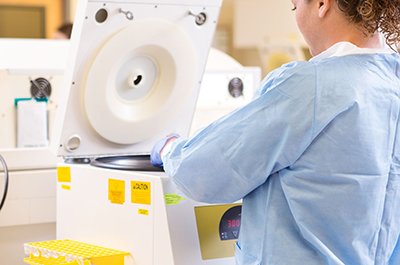 Biochemistry and Immunity Analysis